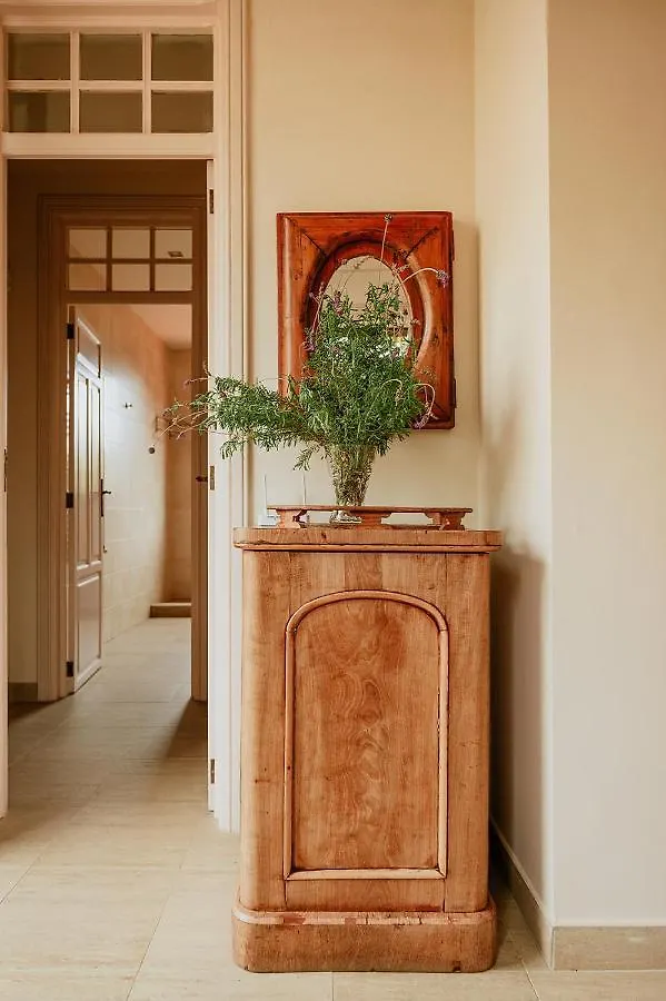 Apartment Homeforguest Rural House With Garden El Laurel Tacoronte Spain